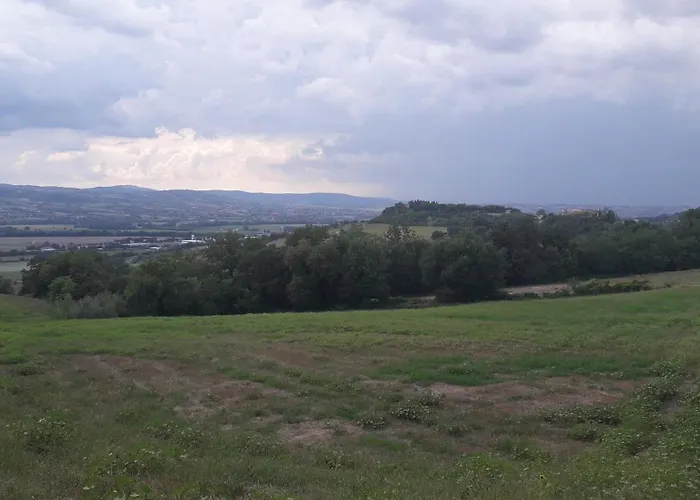 Il TruffarelloAgriturismo